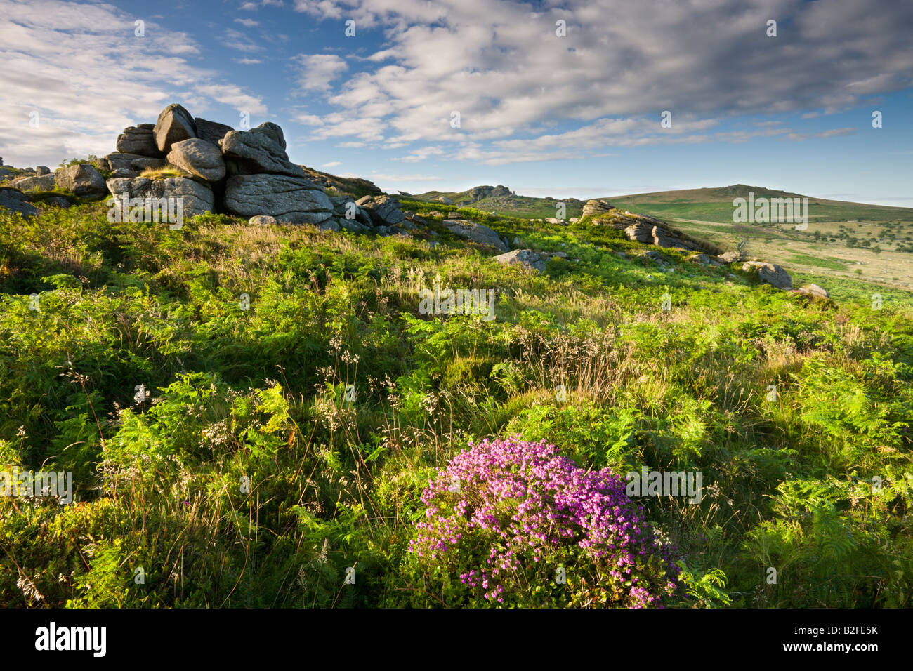 Summer at Saddle Tor in Dartmoor National Park Devon England Stock Photo