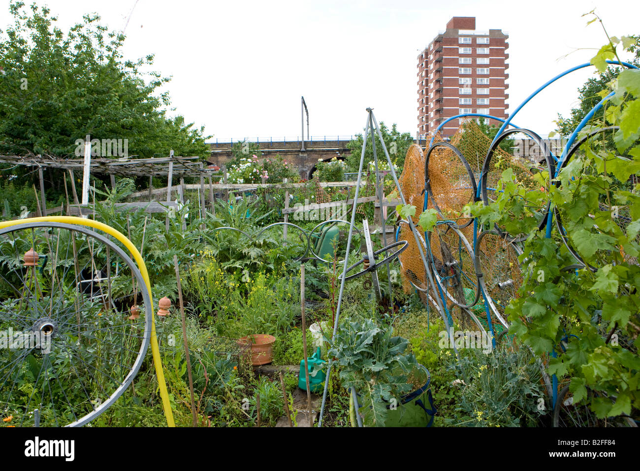 allotments in the east end of london Stock Photo Alamy
