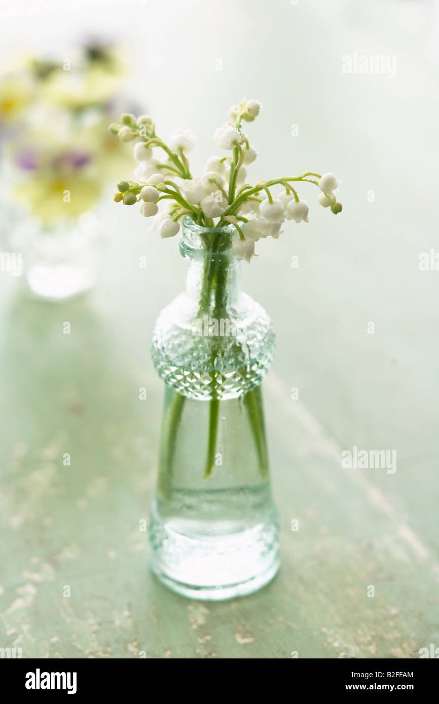 Lilly of the Valley in Small Glass Vase Stock Photo - Alamy