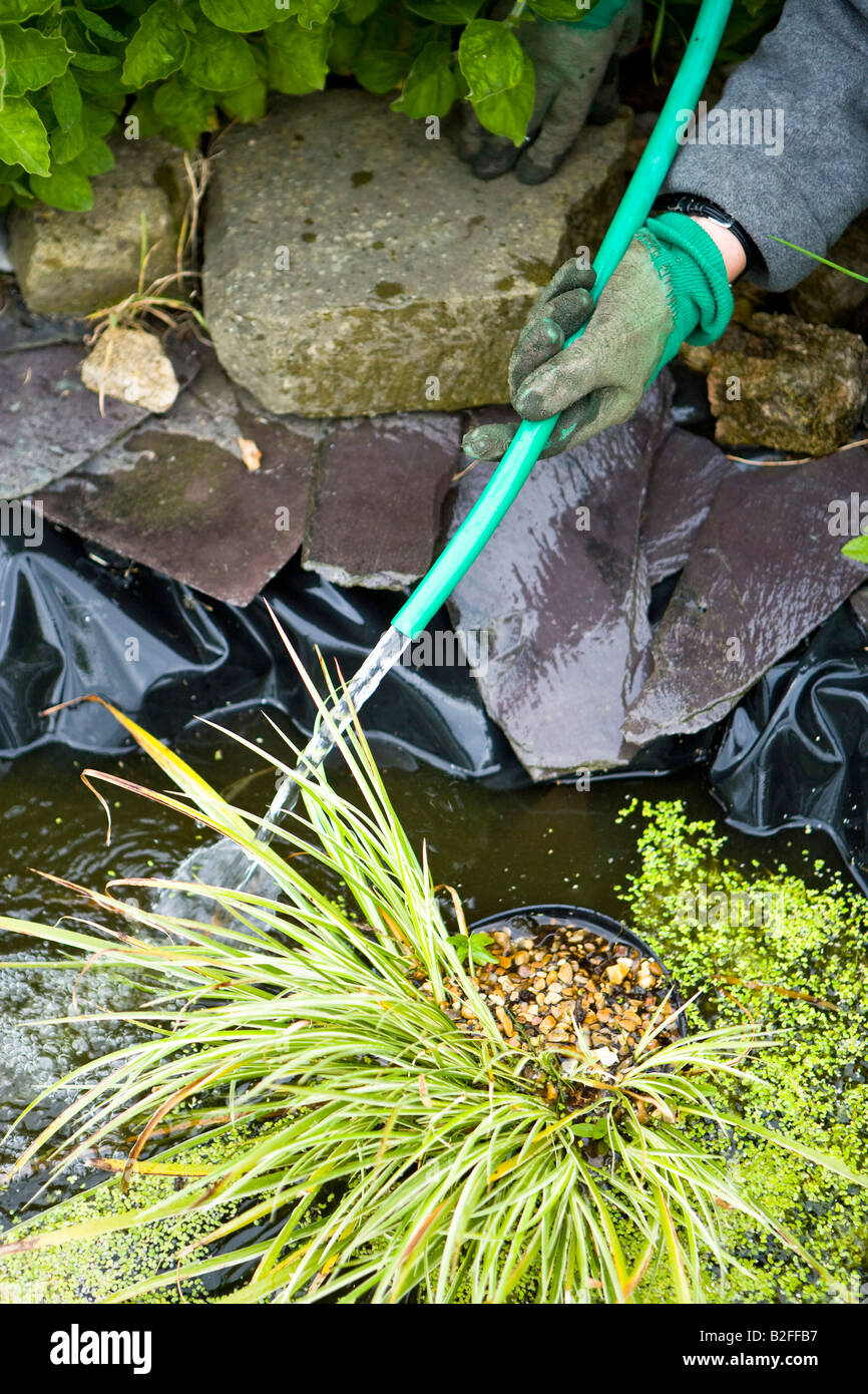 filling up a small garden pond with a hose pipe Stock Photo Alamy
