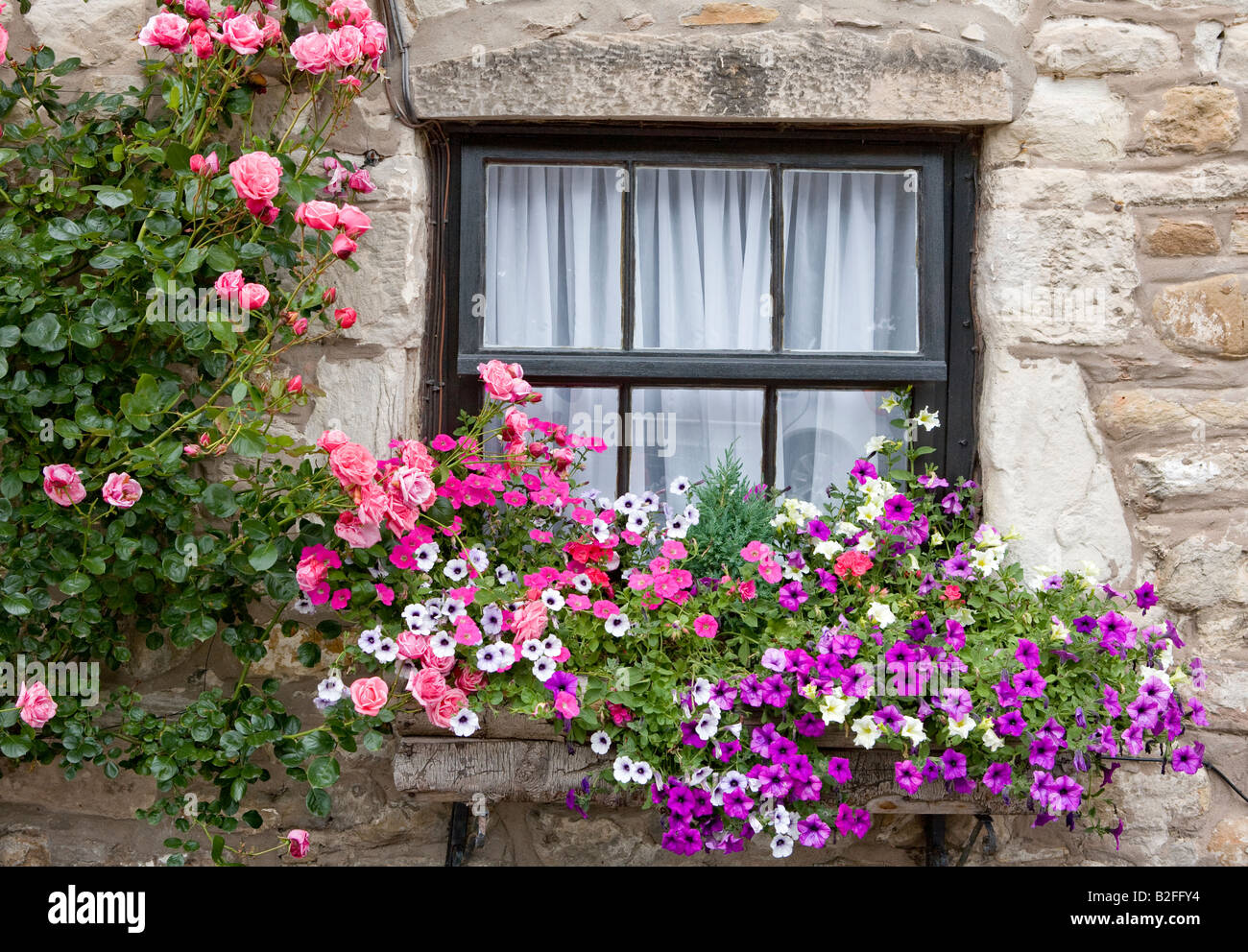 Cottage Window With Flower Boxes Holy Island Northumberland UK Europe ...