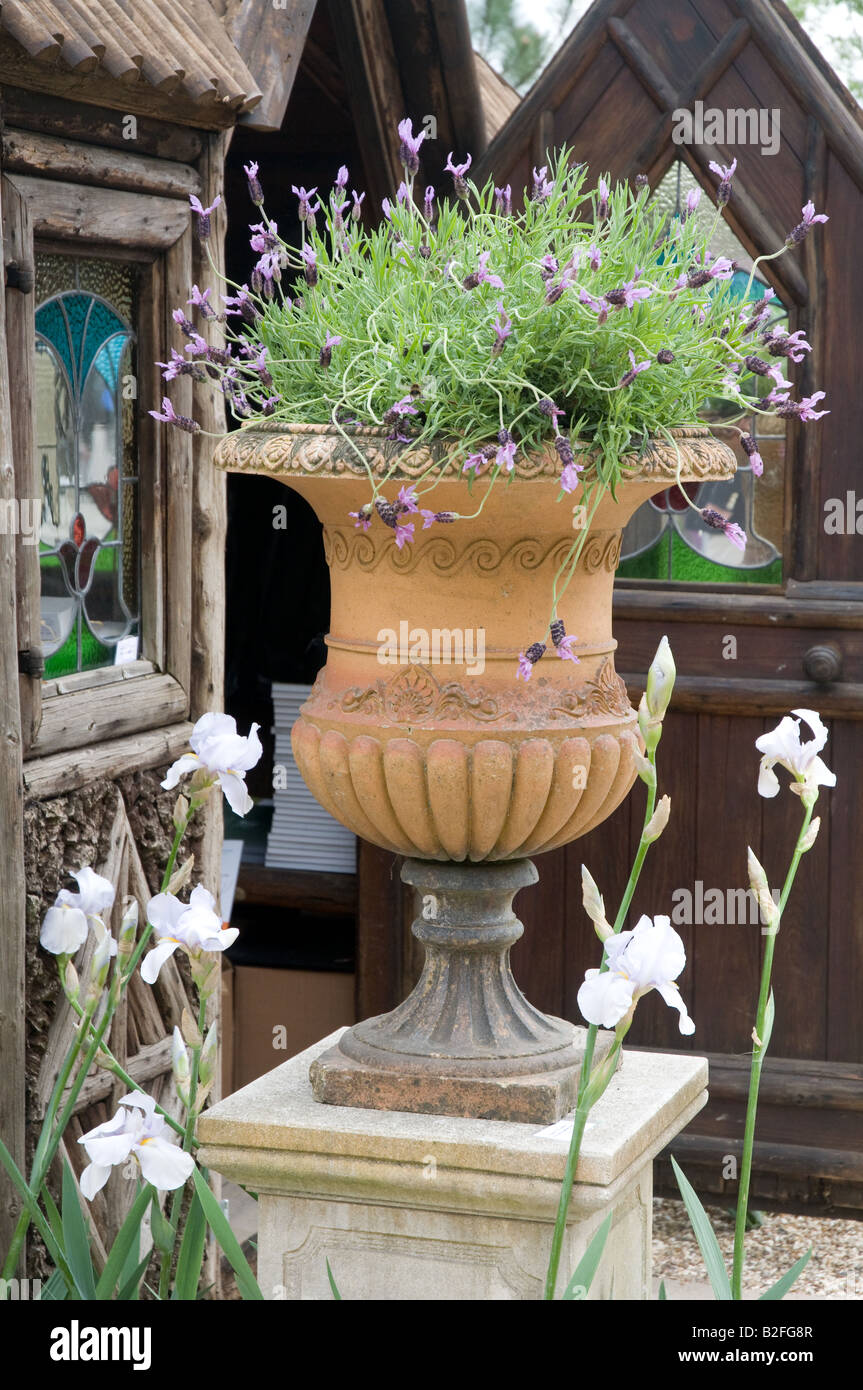 Rock feature garden flowers hi-res stock photography and images - Alamy