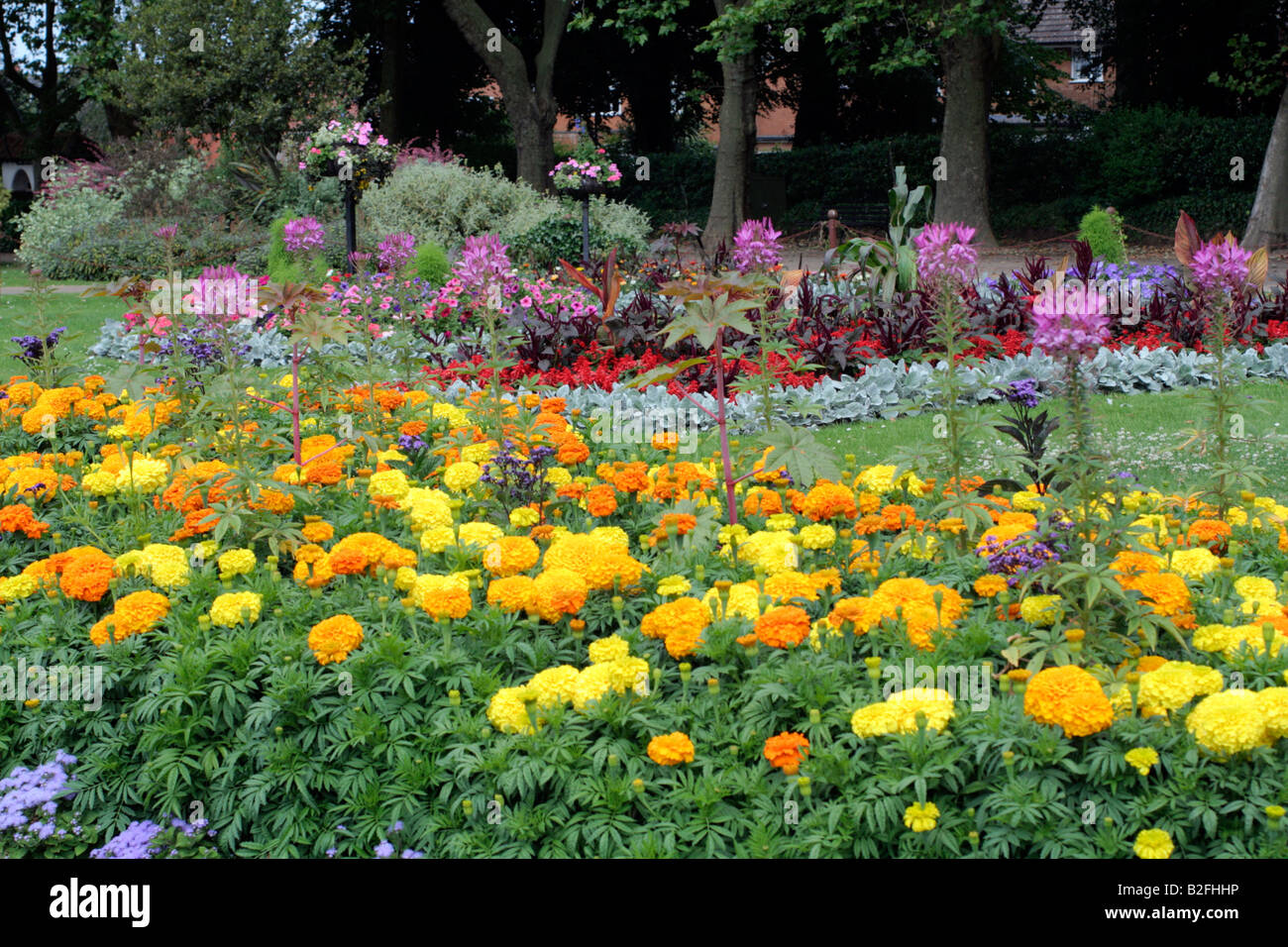 PARKS BEDDING WELLINGTON SOMERSET Stock Photo