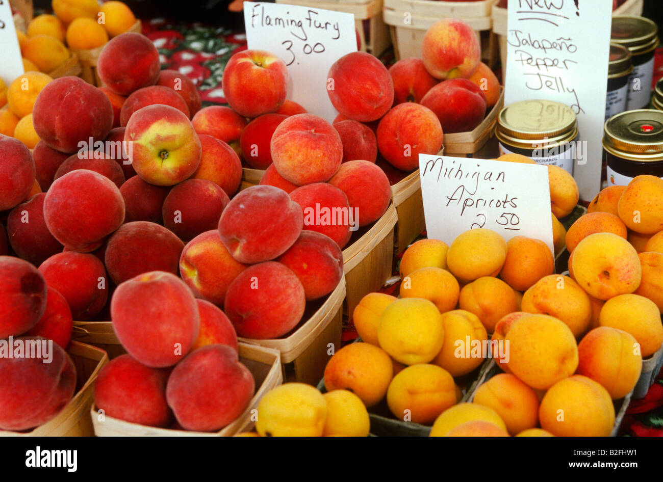 ILLINOIS Deerfield Fresh fruit peaches and apricots for sale displayed