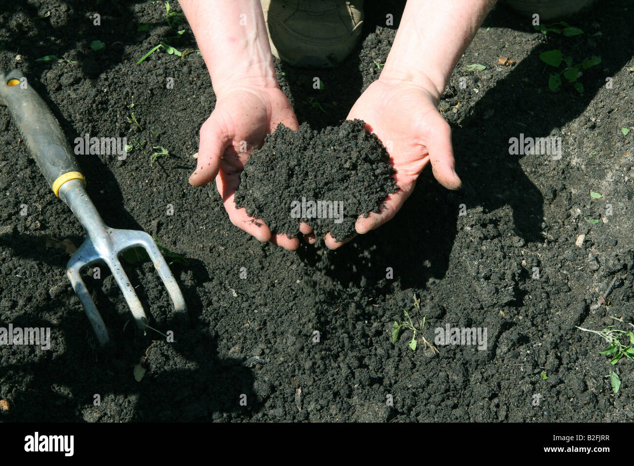 Black soil crops hires stock photography and images Alamy