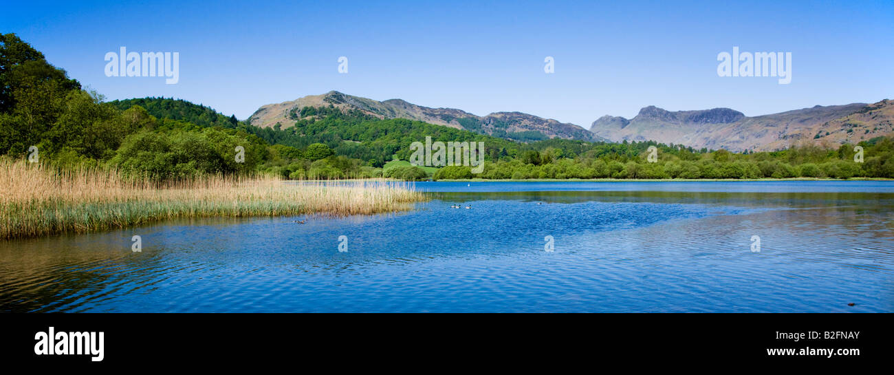 Elter Water In Spring The Langdales In The Distance, The 'Lake District' Cumbria England UK Stock Photo