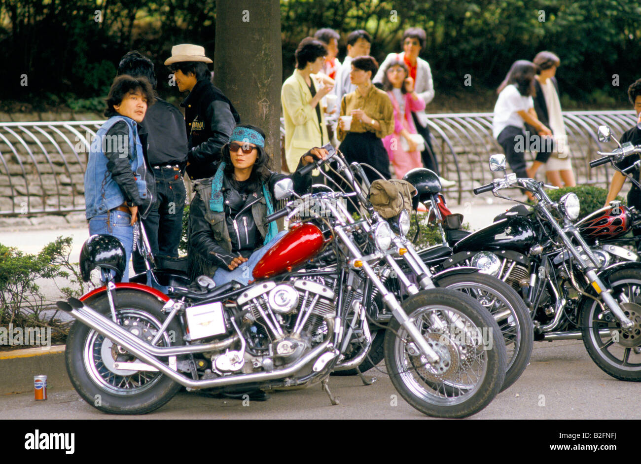 harley davidson takapuna