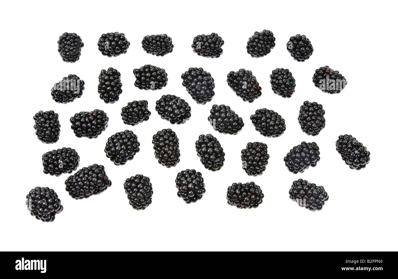 Rubas fruit Brombeere blackberry dewberry black berries boysenberry marionberry fresh on white Background Stock Photo