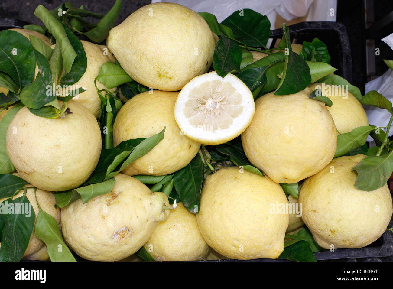 Giant lemons for sale in Positano on the Amalfi coast ,Italy Stock