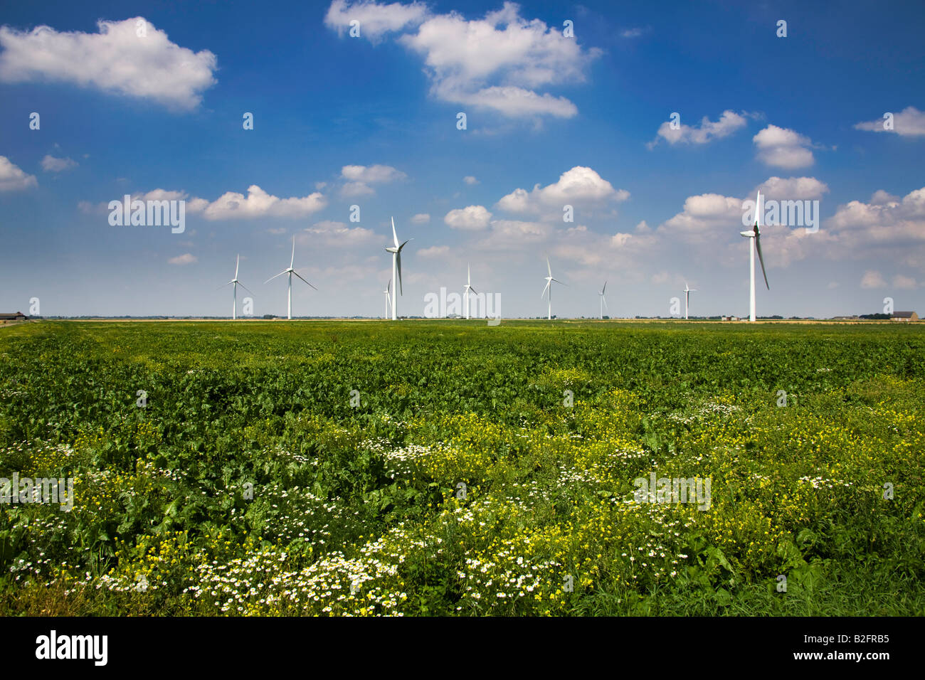Wind Turbine Energy Farm Environmentally Safe Green Wind Energy, Cambridgeshire East Anglia England UK Stock Photo