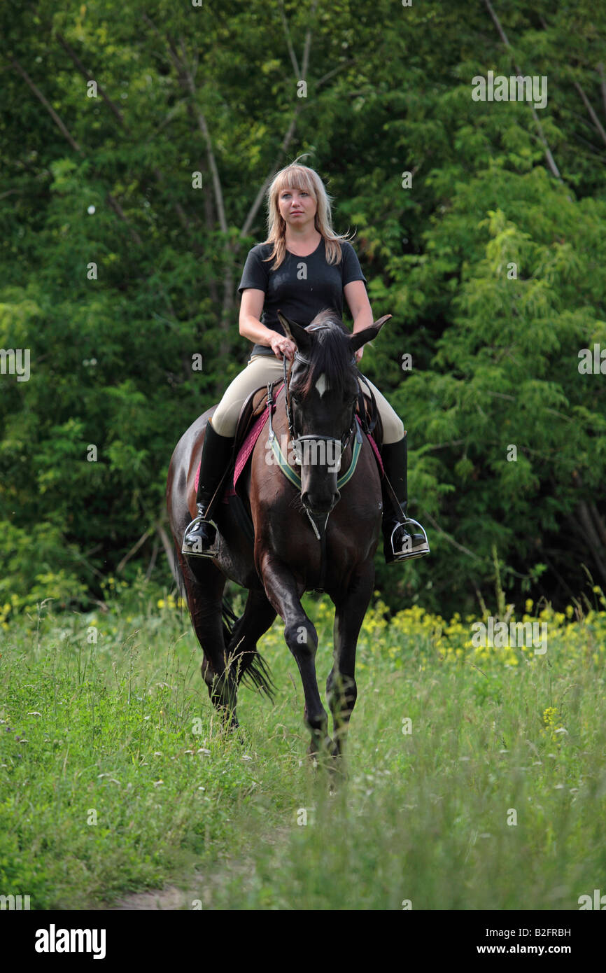 Walk away horse hires stock photography and images Alamy