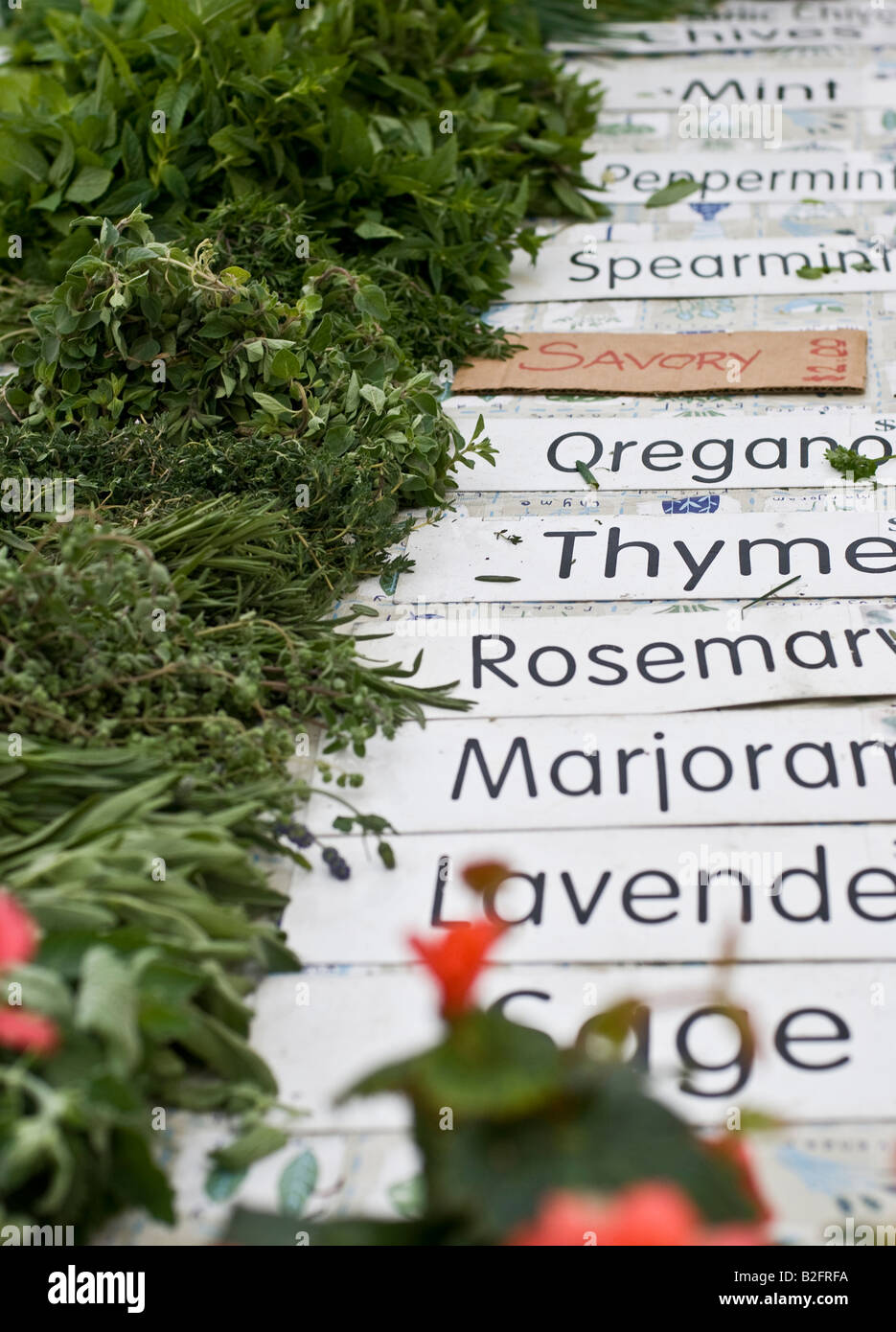 Herb sign hires stock photography and images Alamy