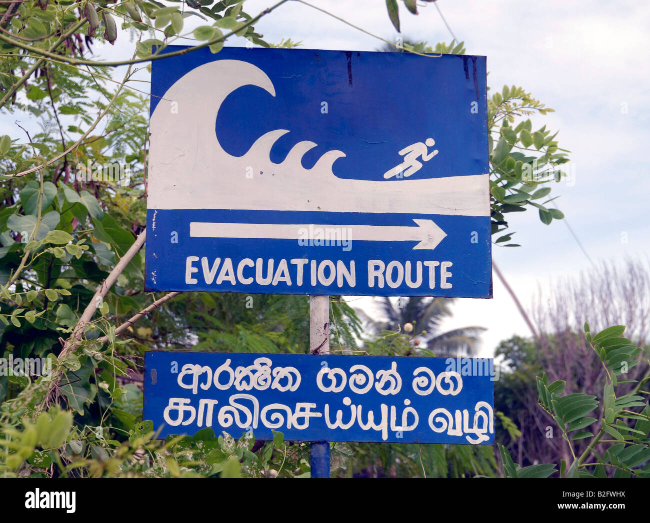Signs indicating Tsunami evacuation routes on the south coast of Sri Lanka. Stock Photo