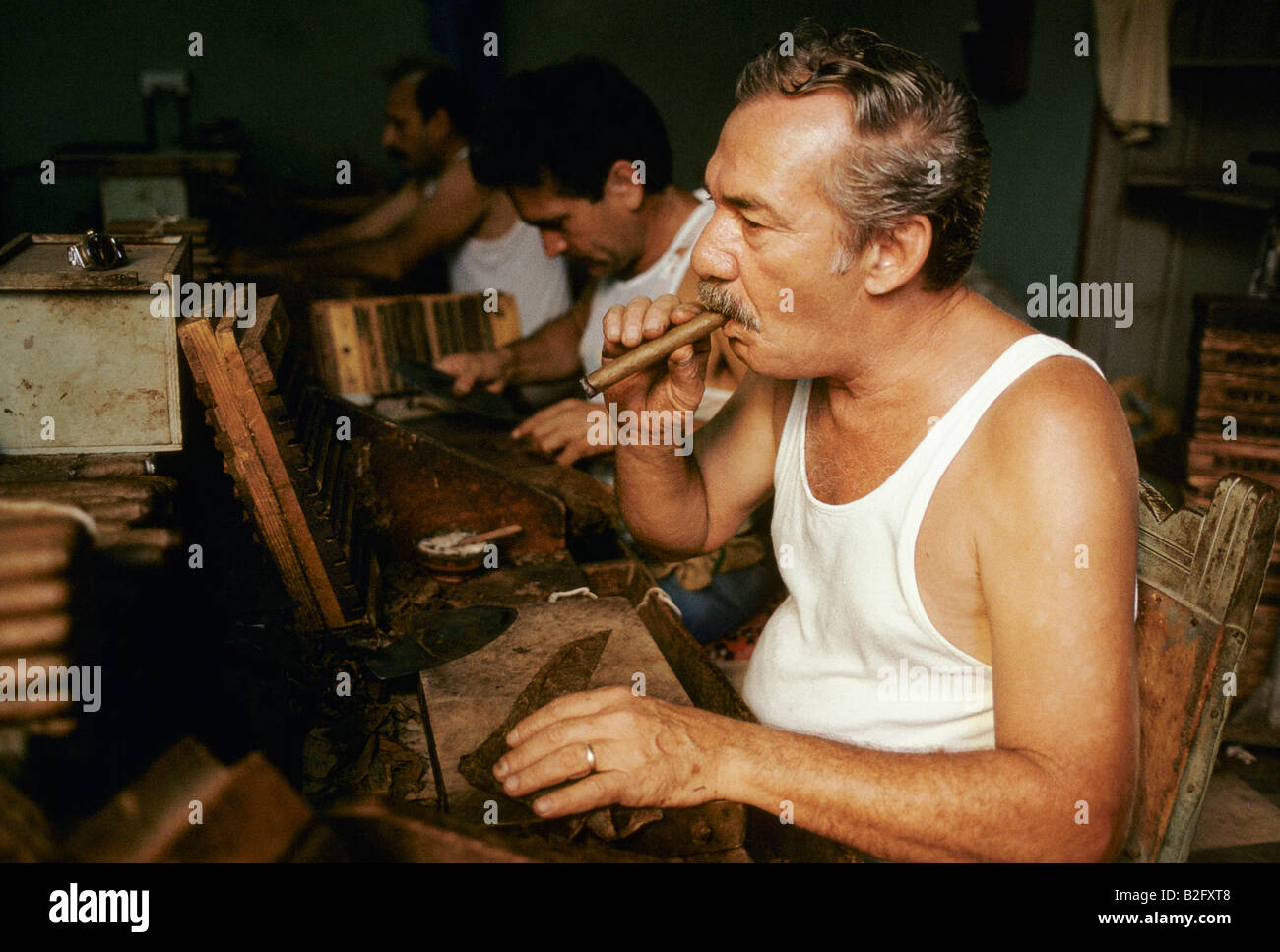 Men smoking cigars and working in a cigar factory in Pina del Rio cuba Stock Photo