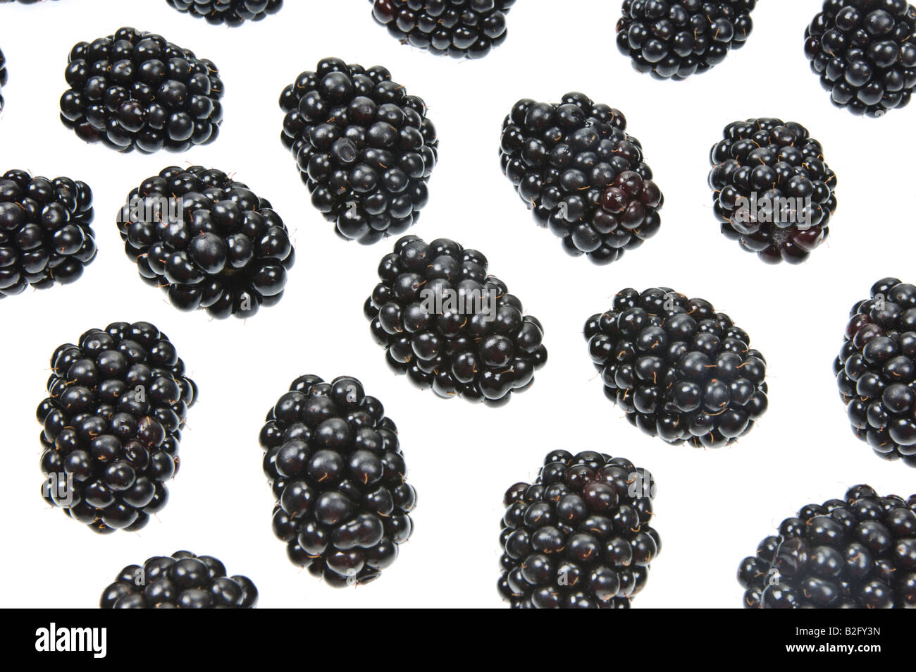 Rubas fruit Brombeere blackberry dewberry black berries boysenberry marionberry fresh on white Background Stock Photo