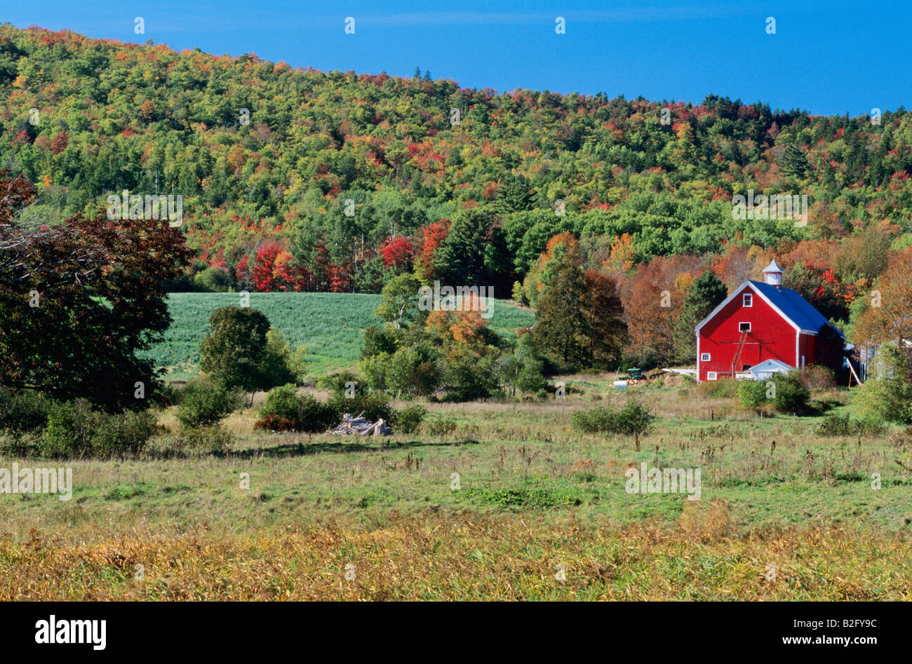 Red Barn in the Annapolis River Valley Nova Scotia Canada Stock Photo