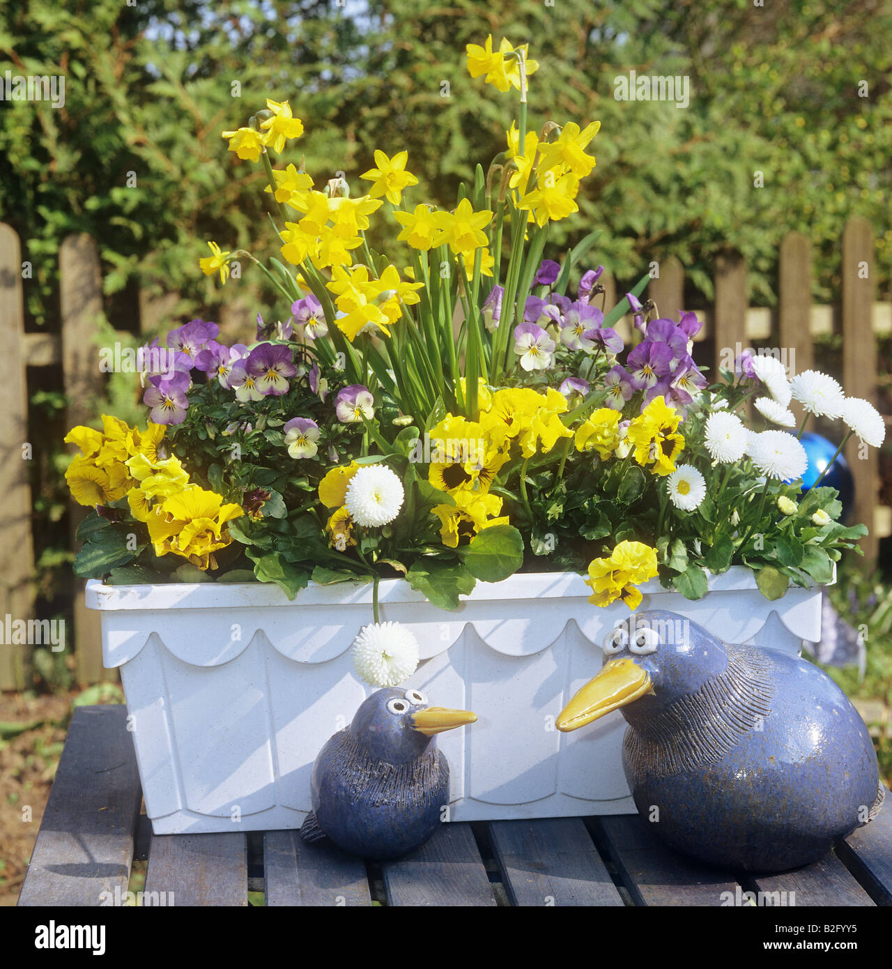 flower pot with different flowers Stock Photo