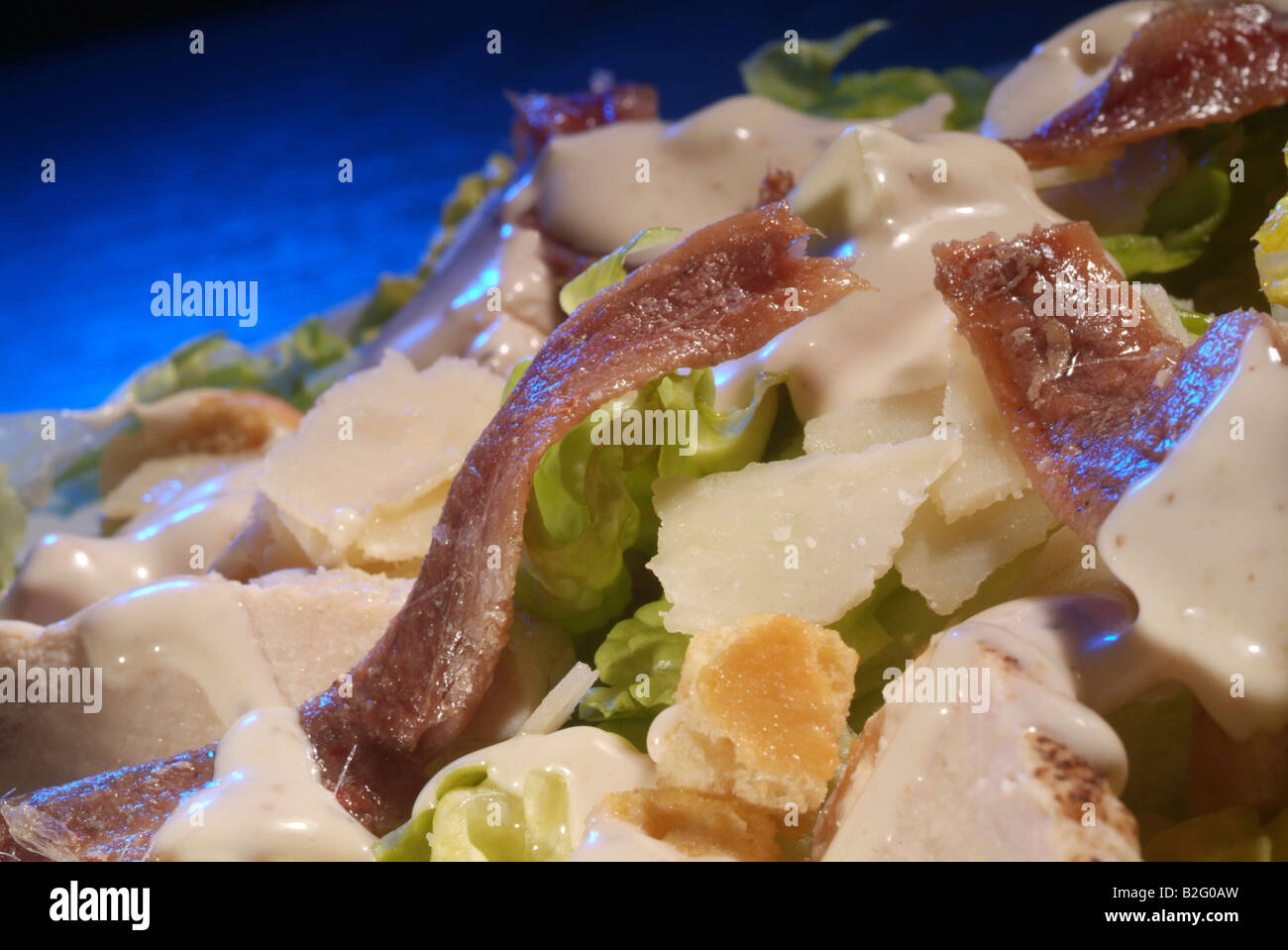 A plate of chicken caesar salad with anchovy fillets and croutons Stock