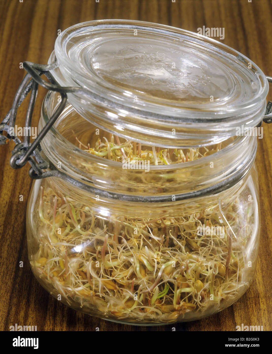 Rye sprout hi-res stock photography and images - Alamy