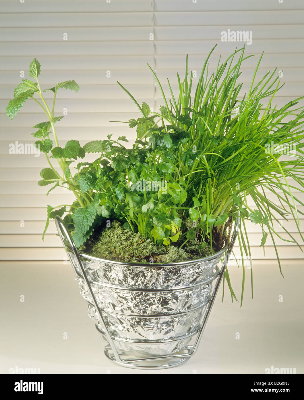 different herbs in pot Stock Photo Alamy