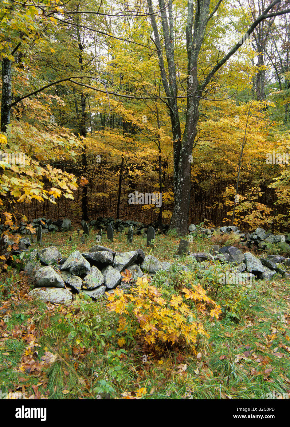 Hampshire god history stone hires stock photography and images Alamy
