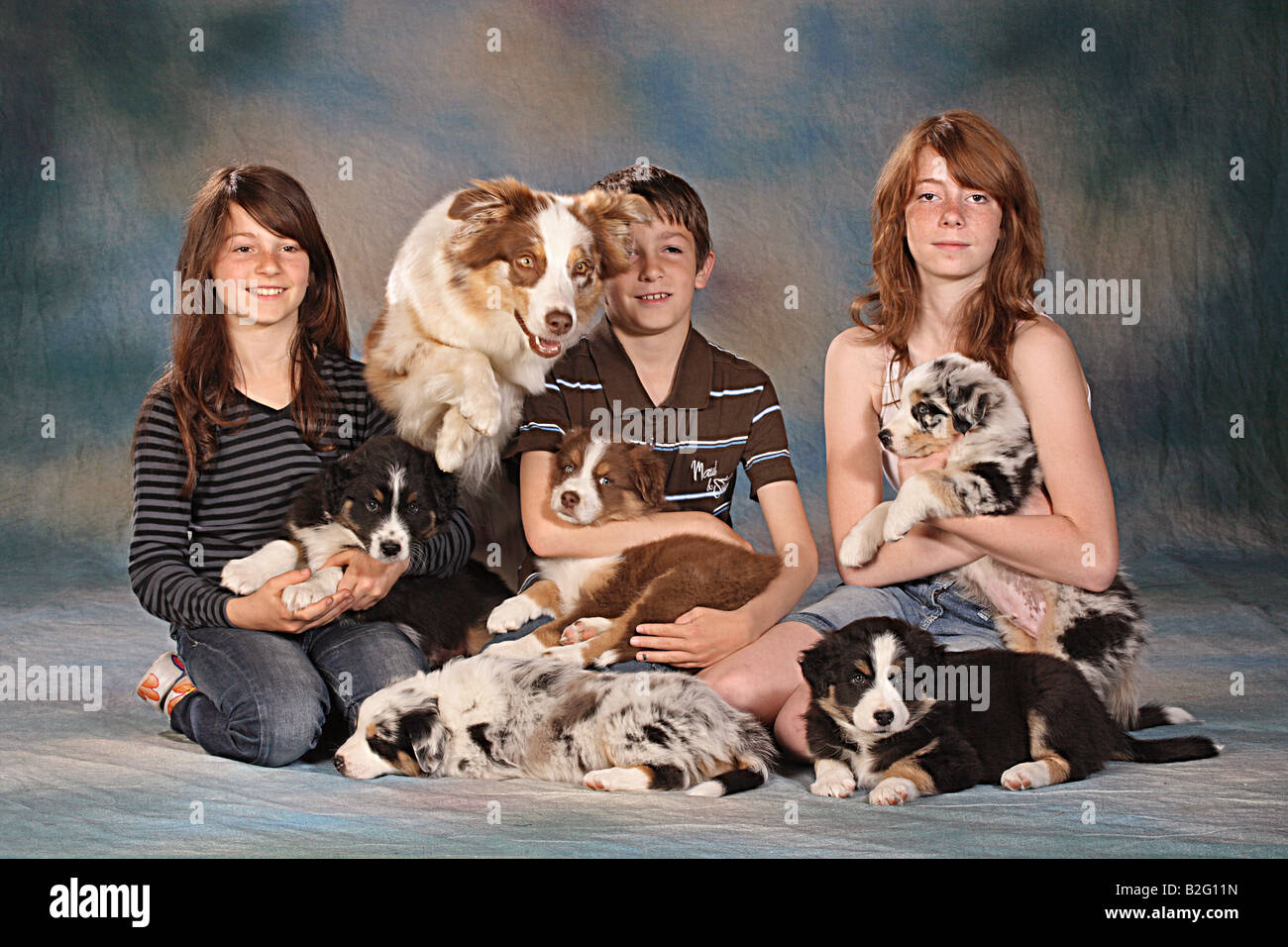 three children with australian shepherd and puppies Stock Photo Alamy