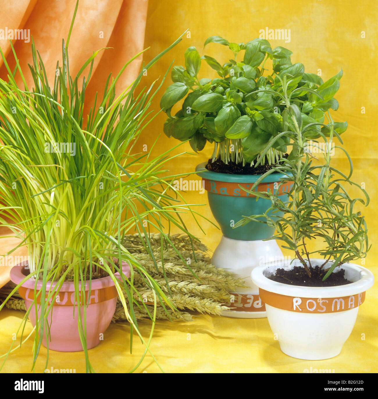 different herbs in pots Stock Photo Alamy