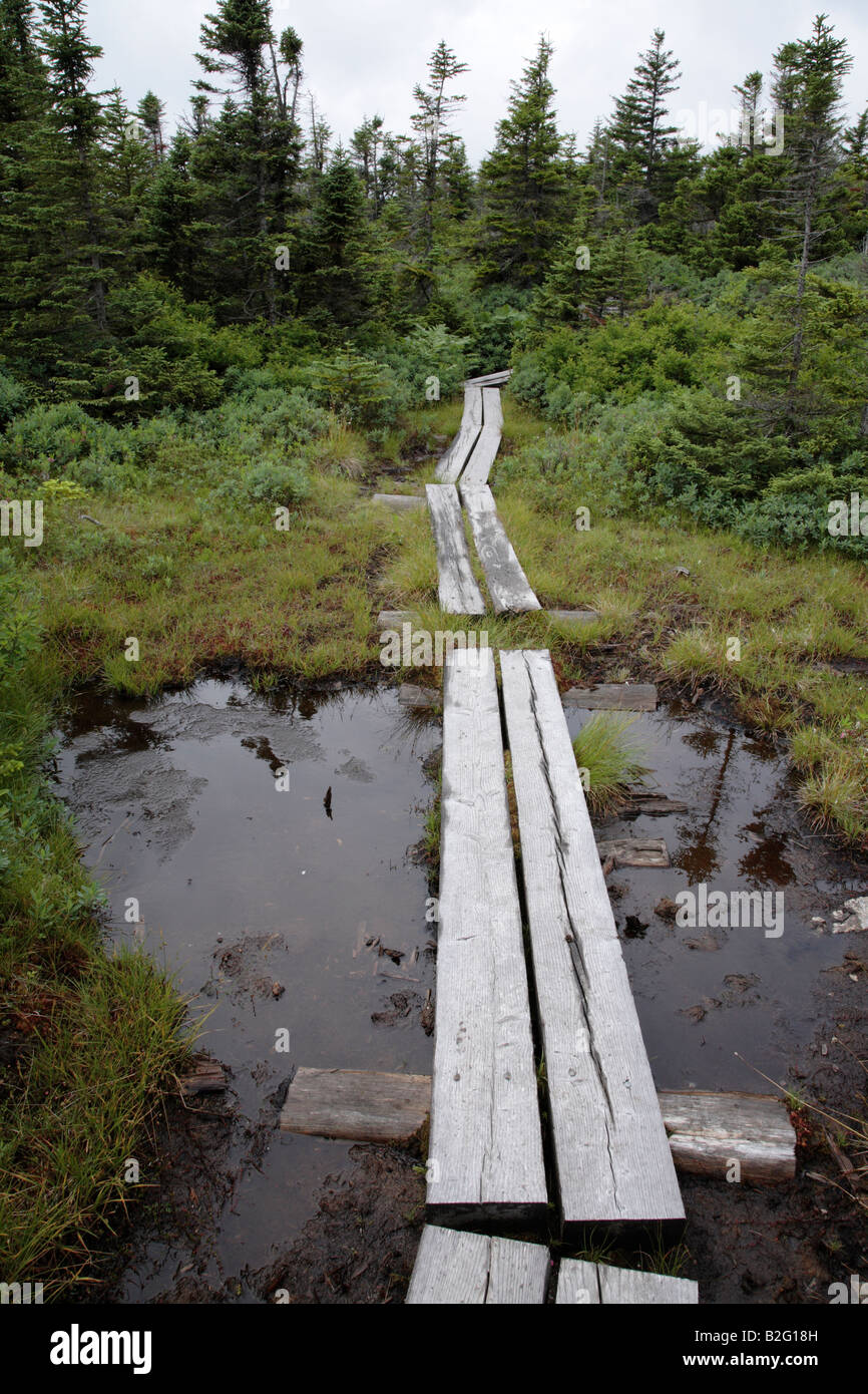 Appalachian Trail...White Mountains New Hampshire USA Stock Photo