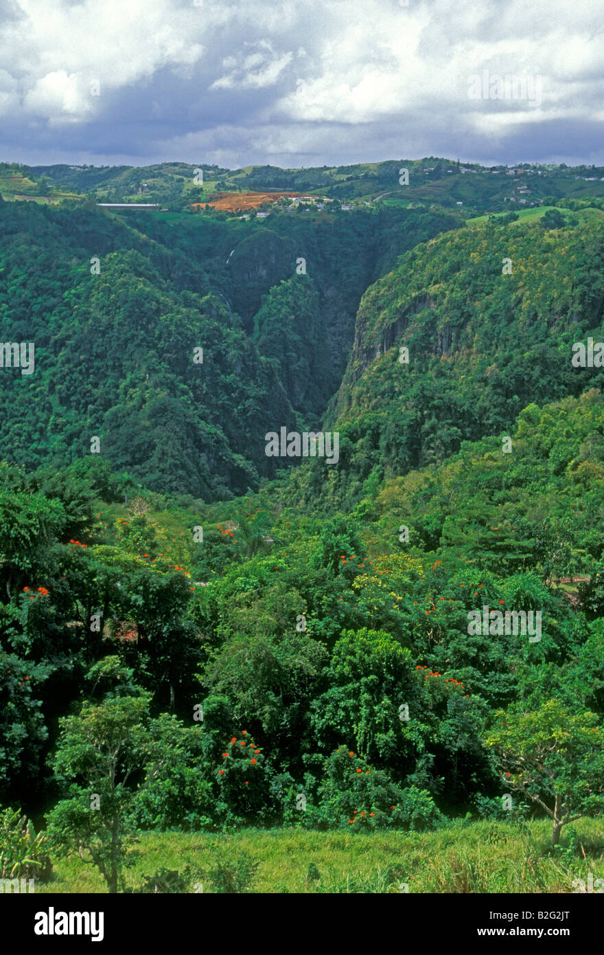 San Cristobal Canyon, near Aibonito, Puerto Rico, West Indies Stock Photo