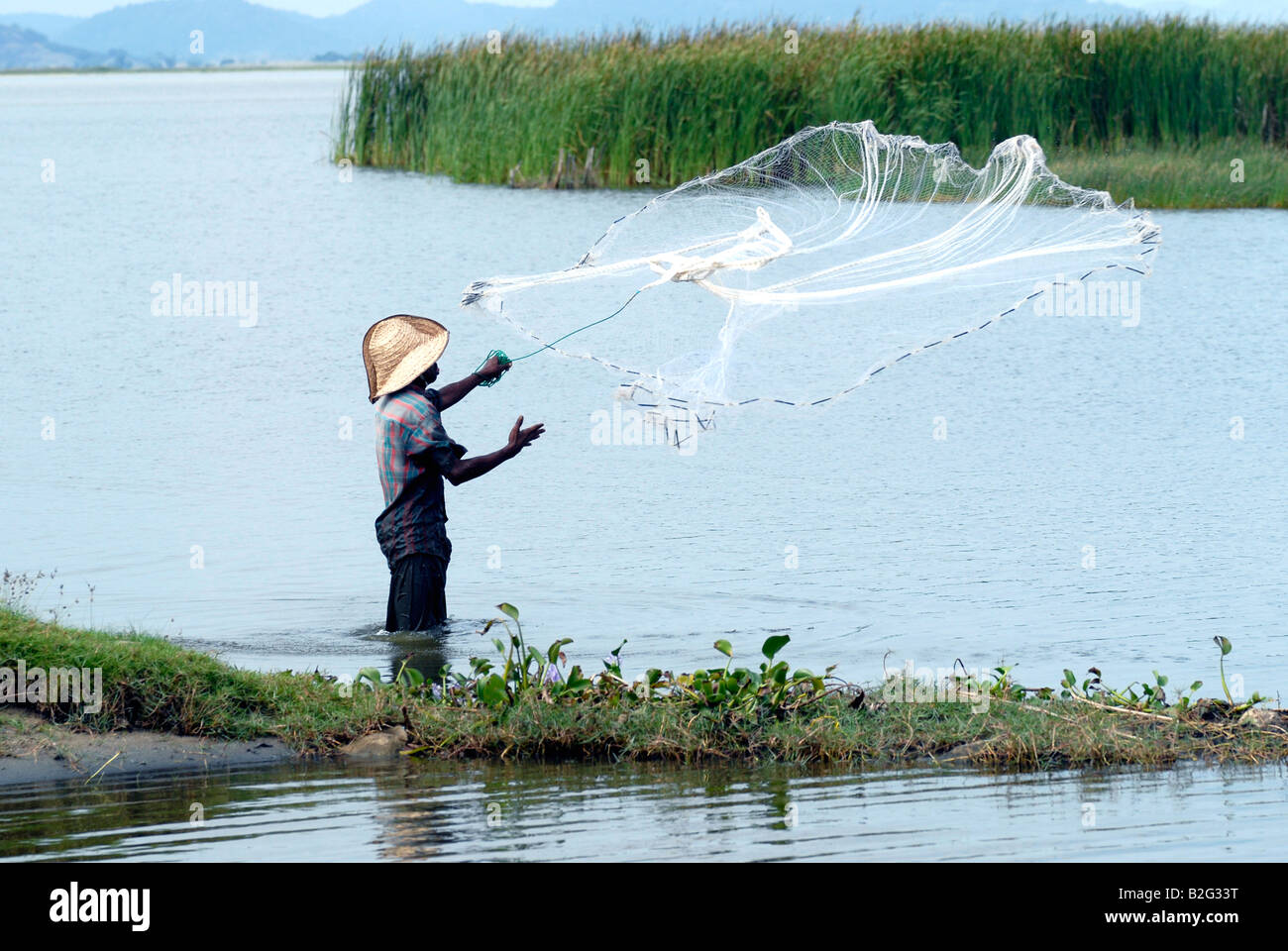 Fishermen using cast nets on a lagoon in the south east coast of Sri Lanka  Stock Photo - Alamy