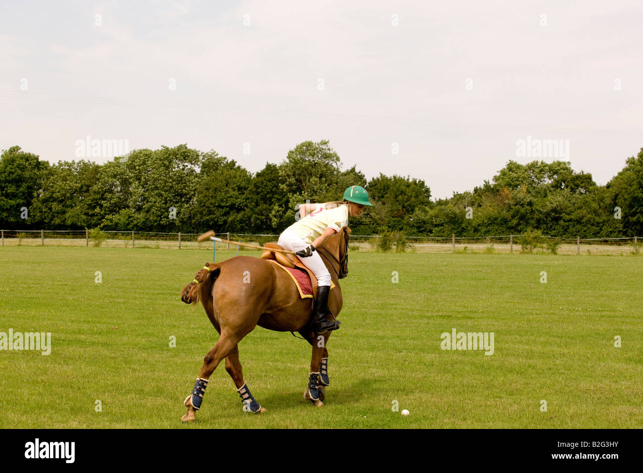 Polo horse saddle hires stock photography and images Alamy
