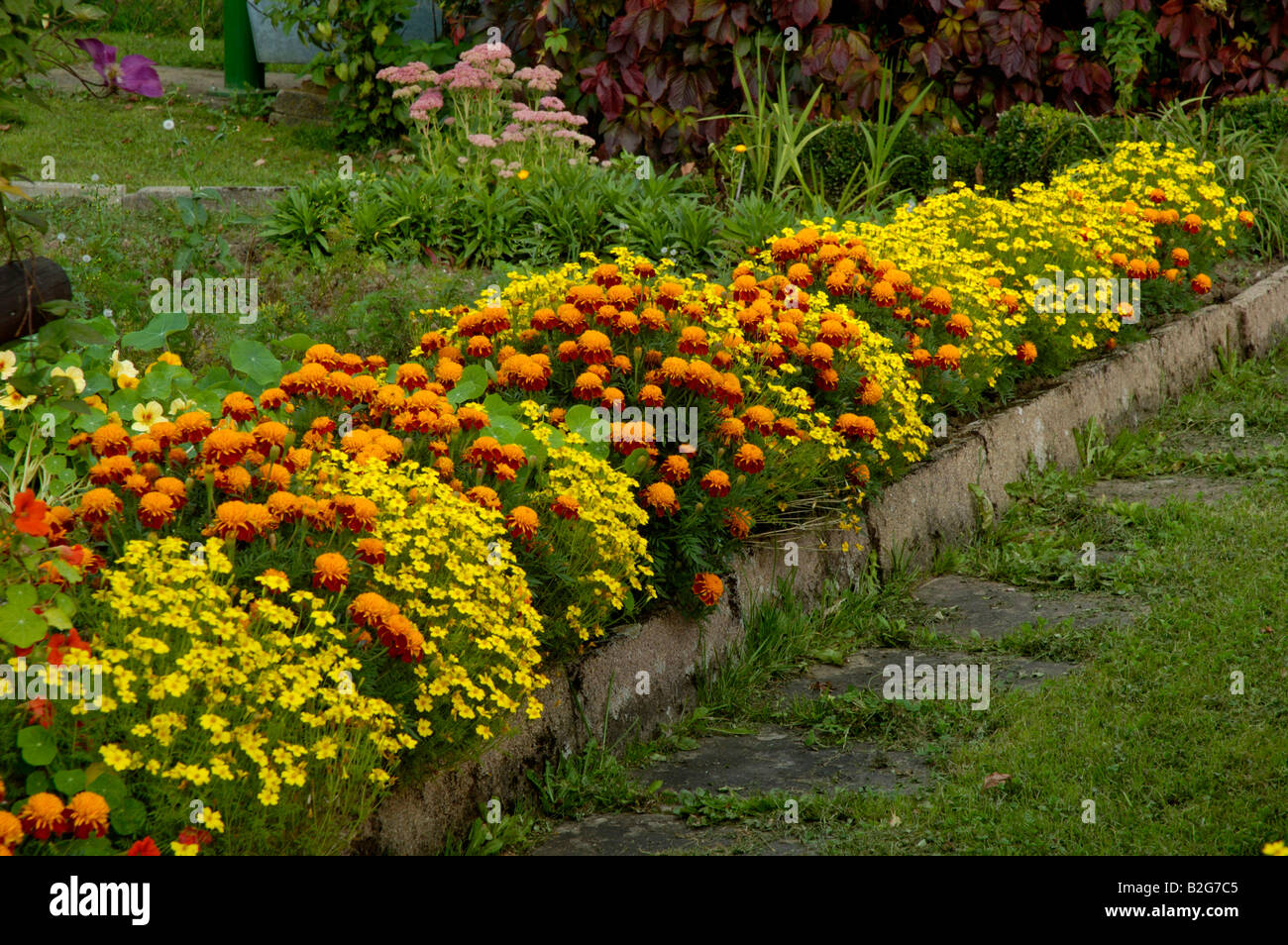 cottage garden bauerngarten baden wuerttemberg germany deutschland