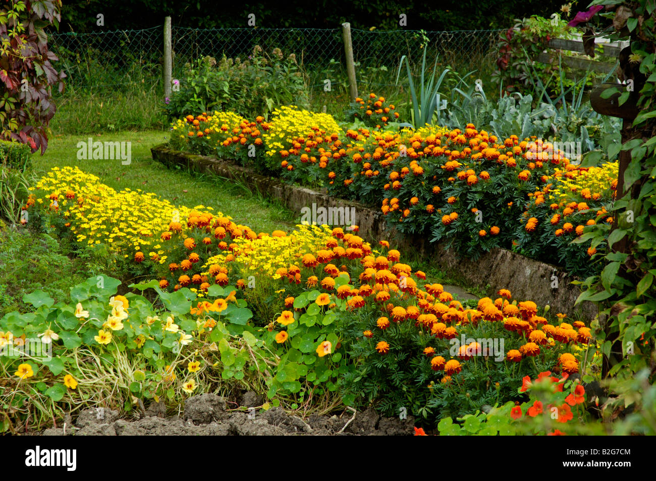 cottage garden bauerngarten baden wuerttemberg germany deutschland