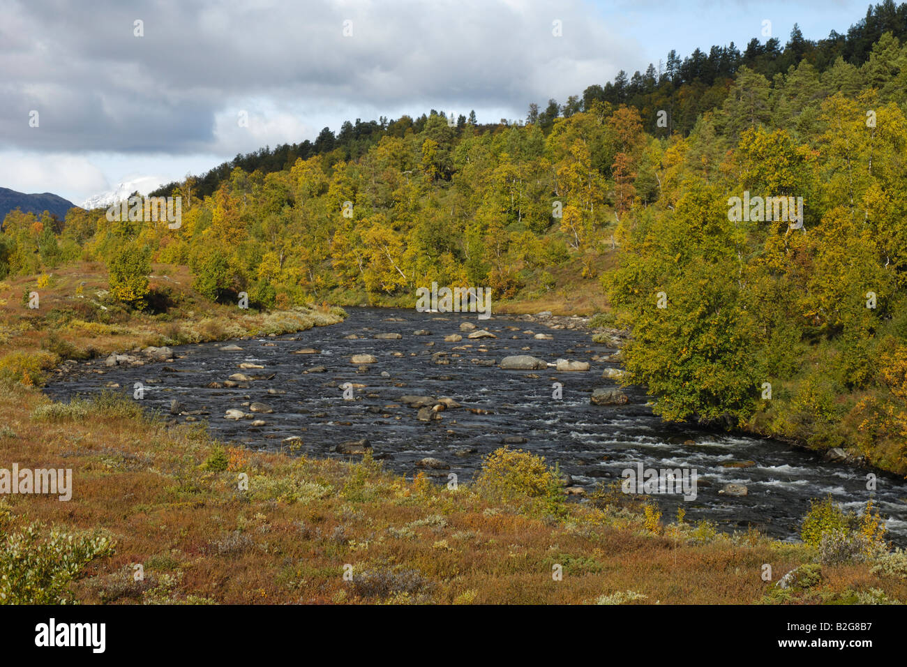 riverscape flusslandschaft folldalen hedmark norway norwegen nordeuropa north europe Stock Photo