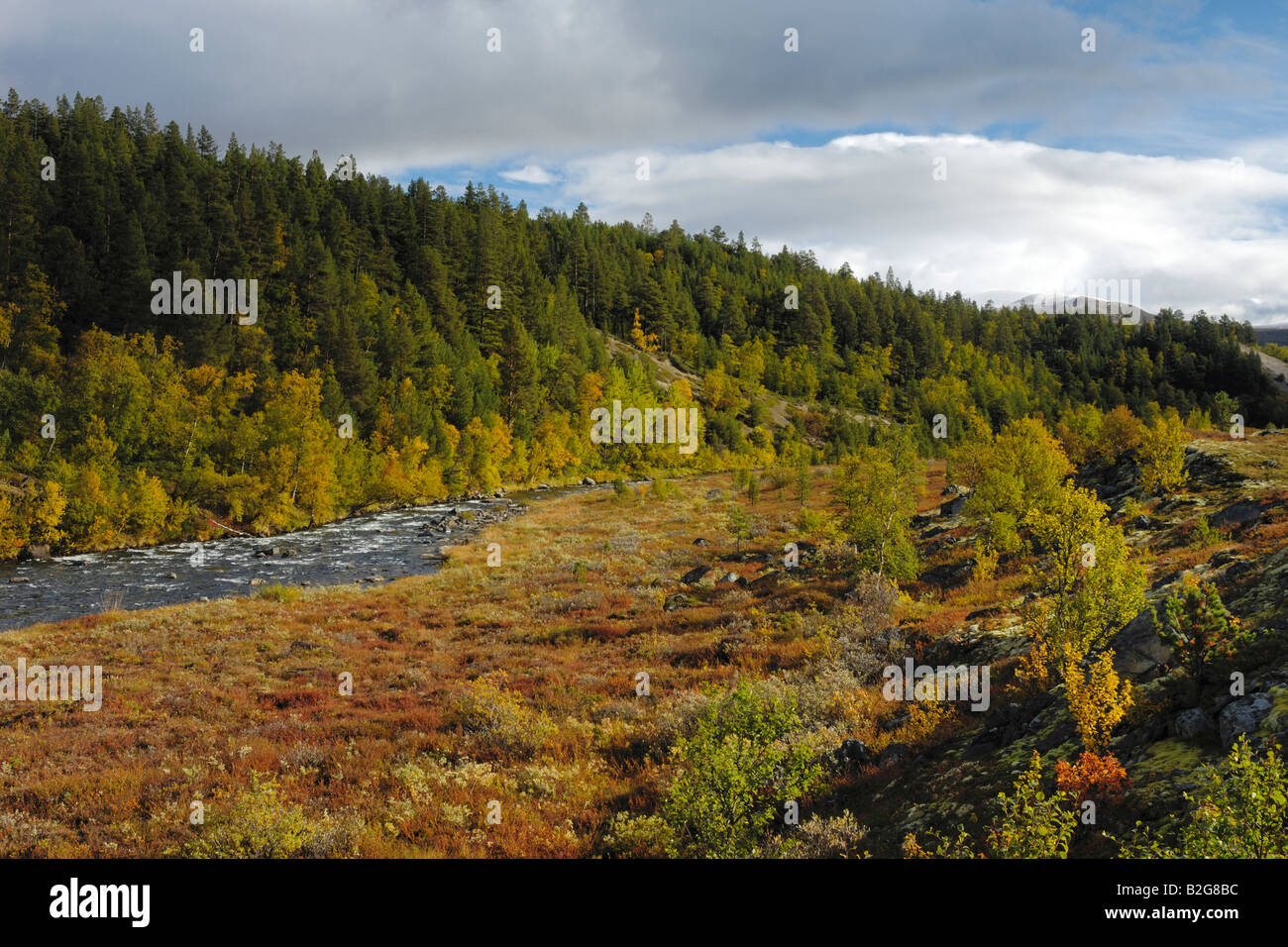 riverscape flusslandschaft folldalen hedmark norway norwegen nordeuropa north europe Stock Photo