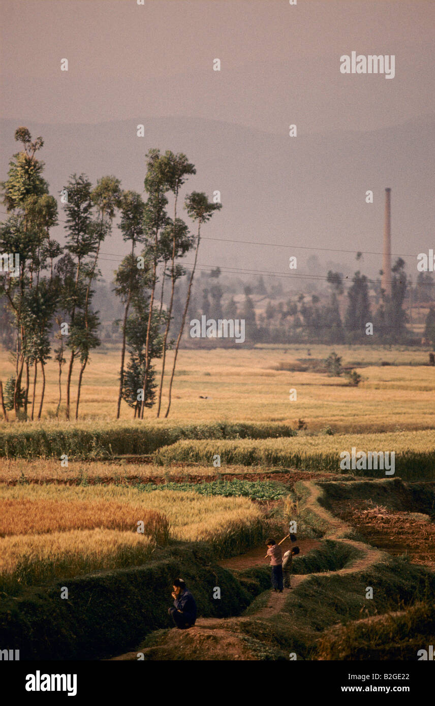 Rural life in china hi-res stock photography and images - Alamy