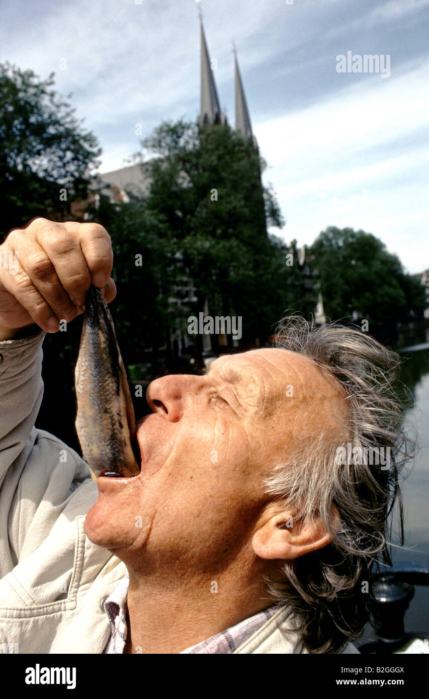 amsterdam man eating whole herring fish Stock Photo Alamy