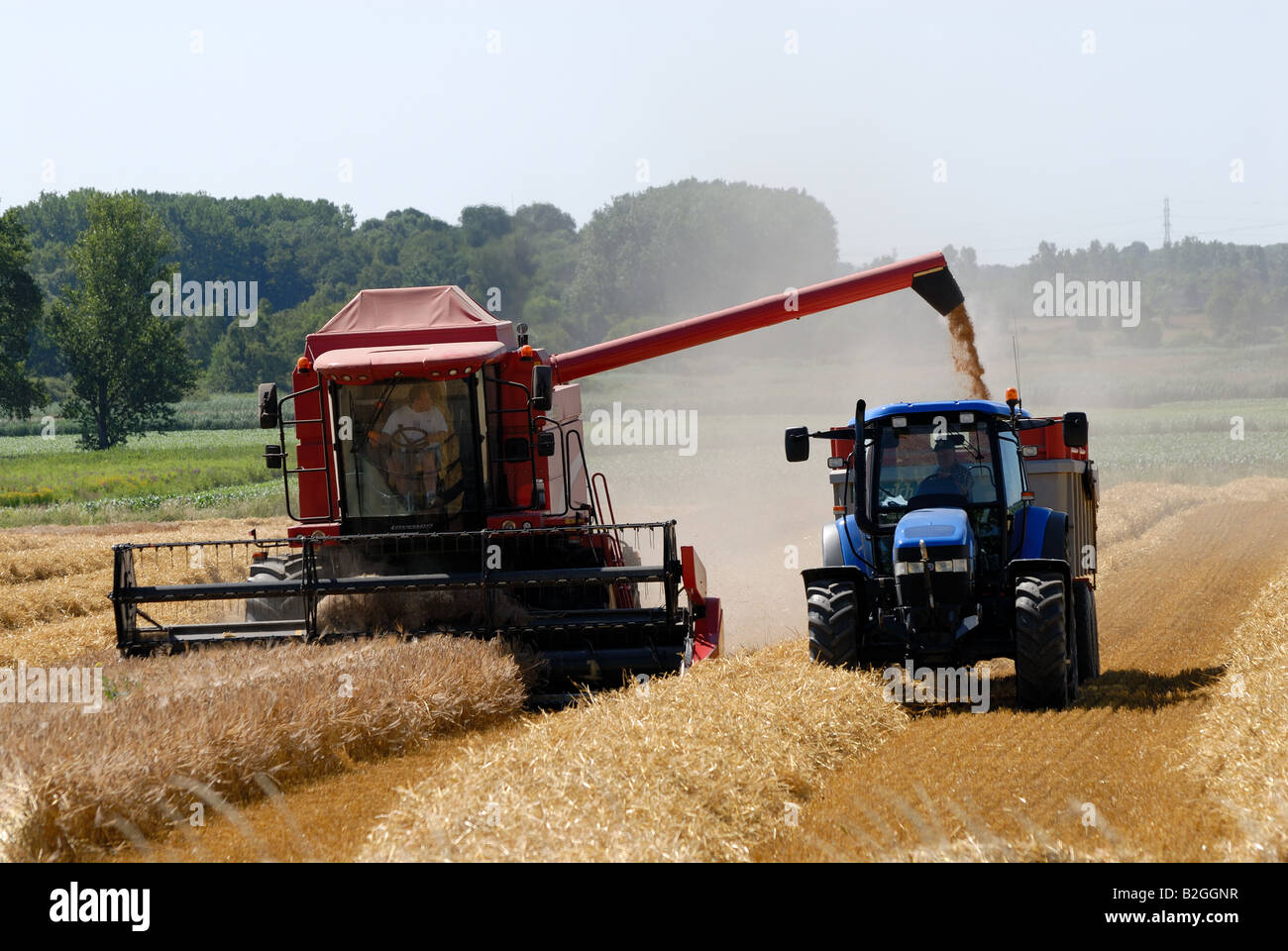 Mowing combine harvester hi-res stock photography and images - Alamy