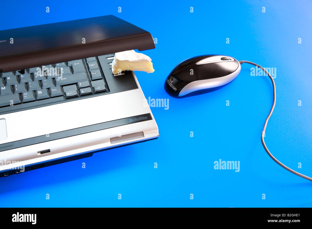 Computer trap hi-res stock photography and images - Alamy