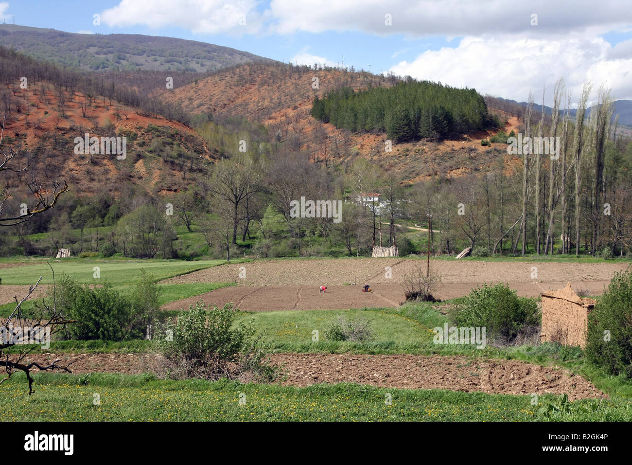 Greece Macedonia Gavros a small farming village Farms surrounding the