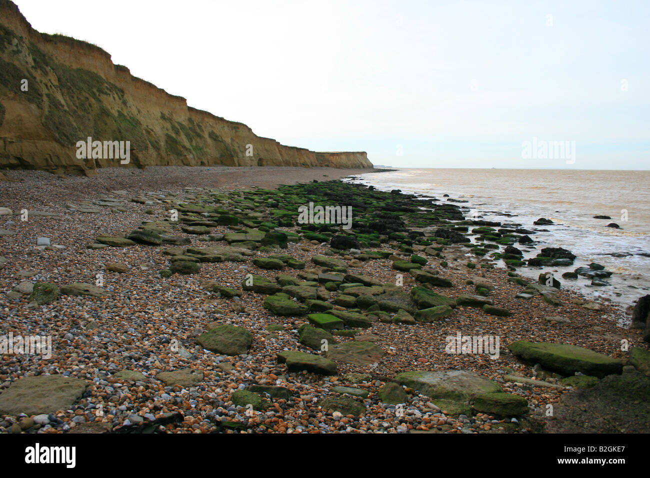 Kent stone beach view with cliffs Stock Photo