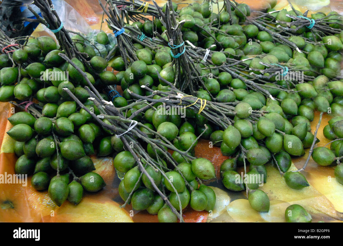 Gnips hi-res stock photography and images - Alamy