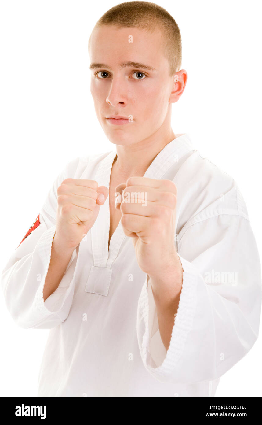 martial arts kung fu sports sport karate teak won do wushu sports combat  sport kick booting young man Stock Photo - Alamy