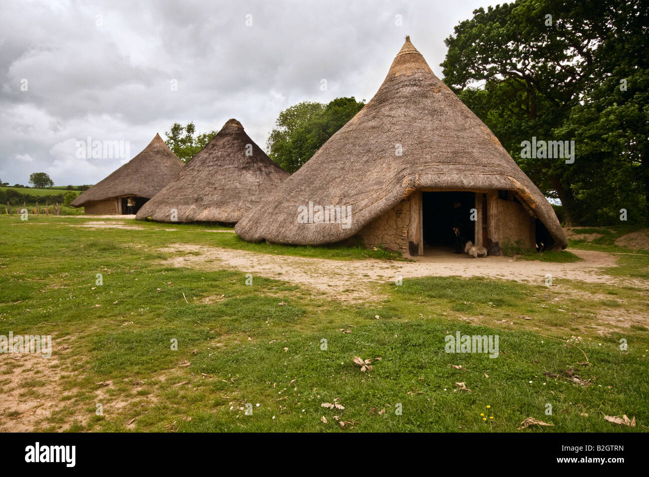 Roundhouses at Castell Henllys Iron Age Fort, Pembrokeshire Stock Photo