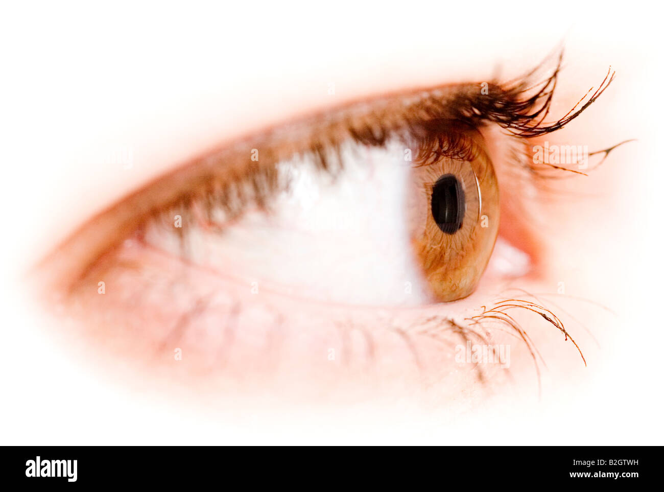 young woman eye eyes glimpse look eyeball detail close up Stock Photo
