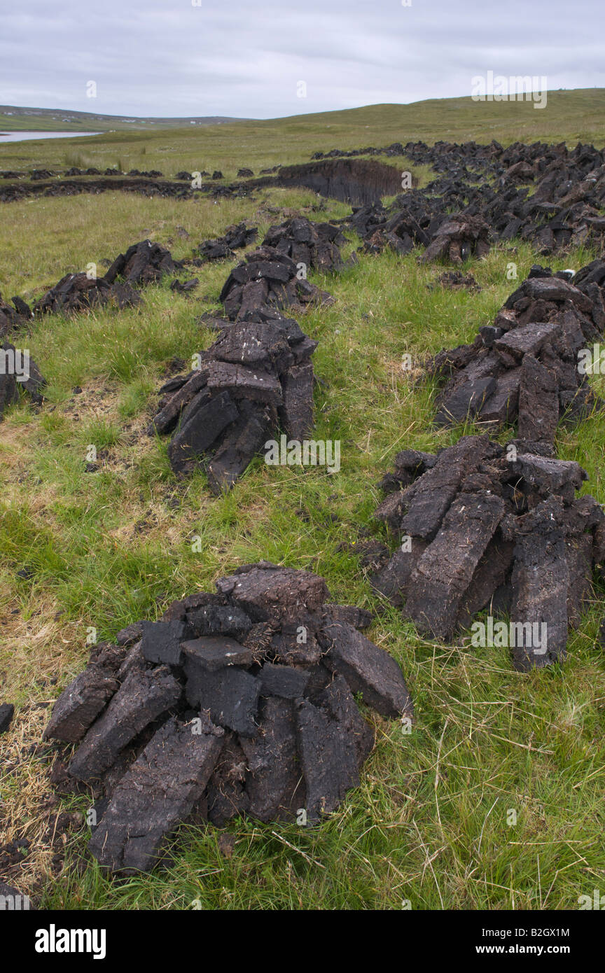 Stacked peats near Mid Yell, Yell, Shetland Isles, Scotland, UK Stock Photo