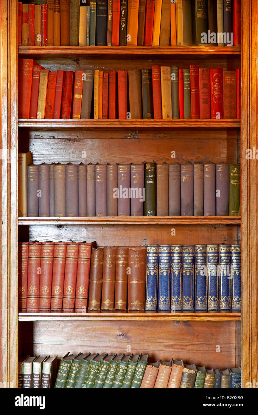Old books on wooden bookshelf Stock Photo