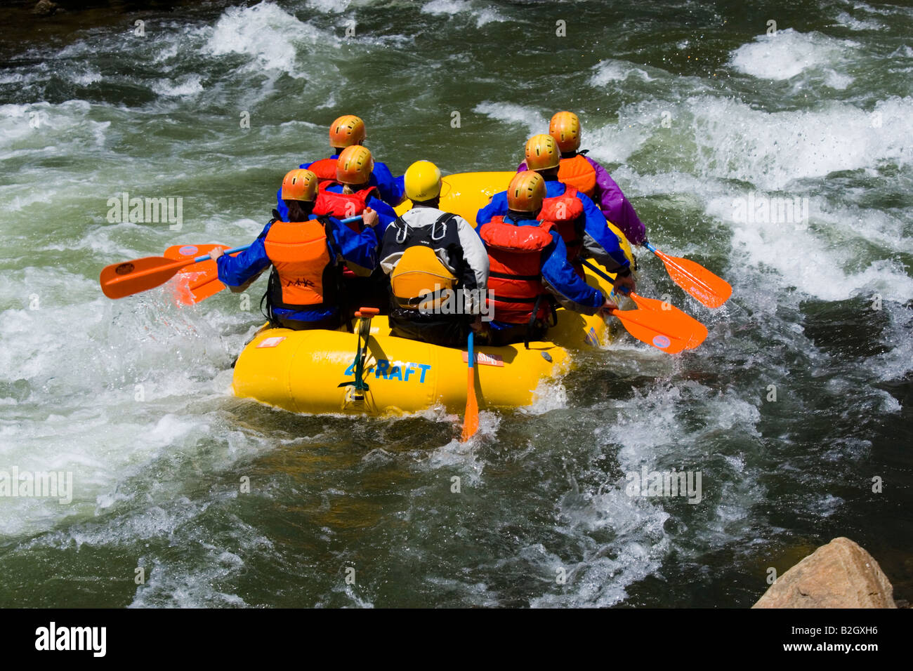 Whitewater rafters negotiate furious white water in Clear Creek Colorado Stock Photo