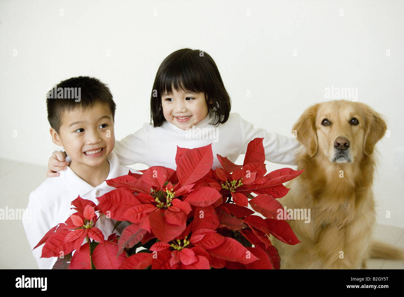 Girl with her brother and her dog Stock Photo - Alamy
