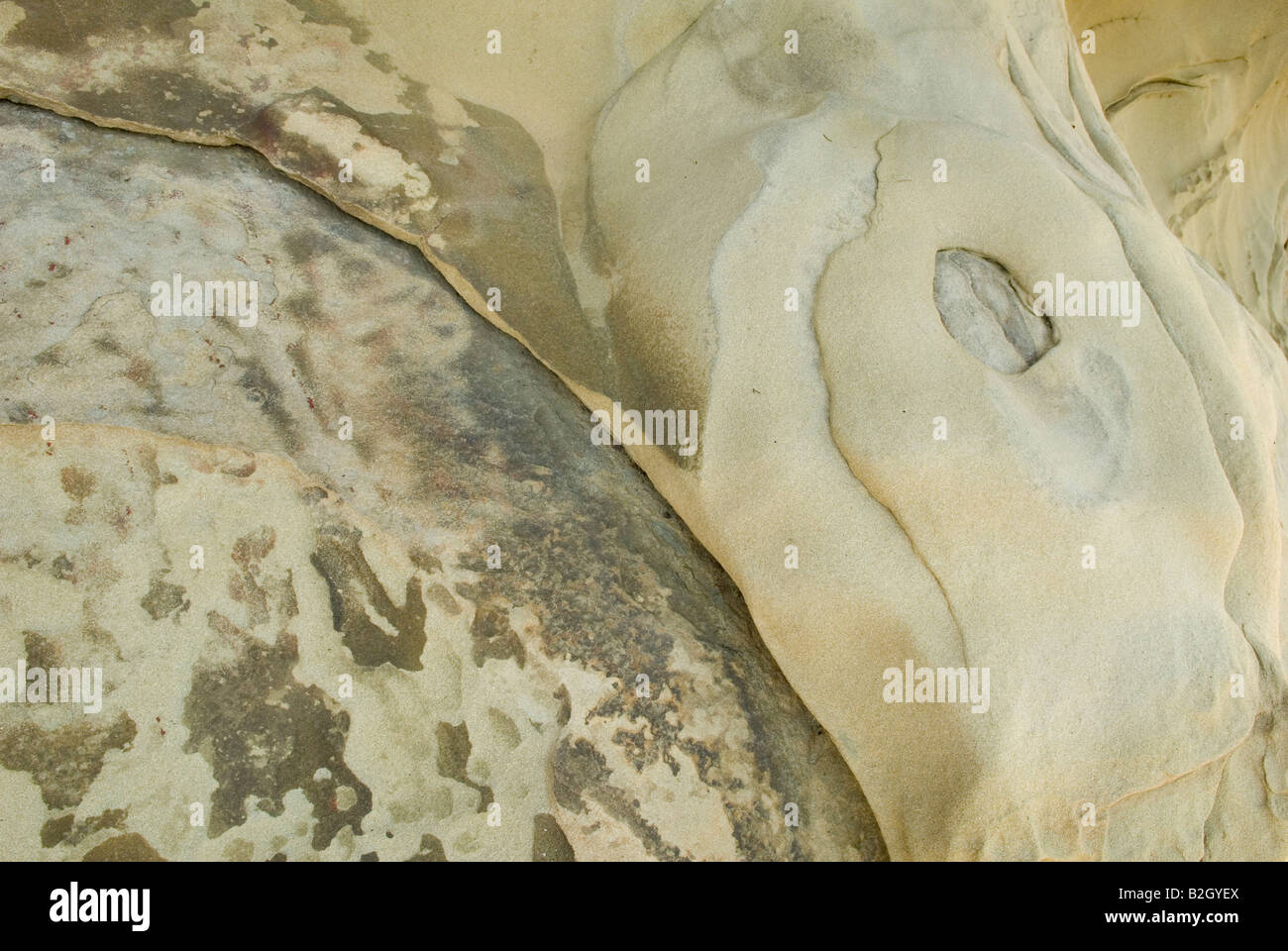 Detail of sandstone, Gabriola Island, BC, Canada Stock Photo - Alamy